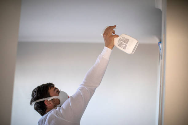 Best Attic Mold Removal  in College Park, MD